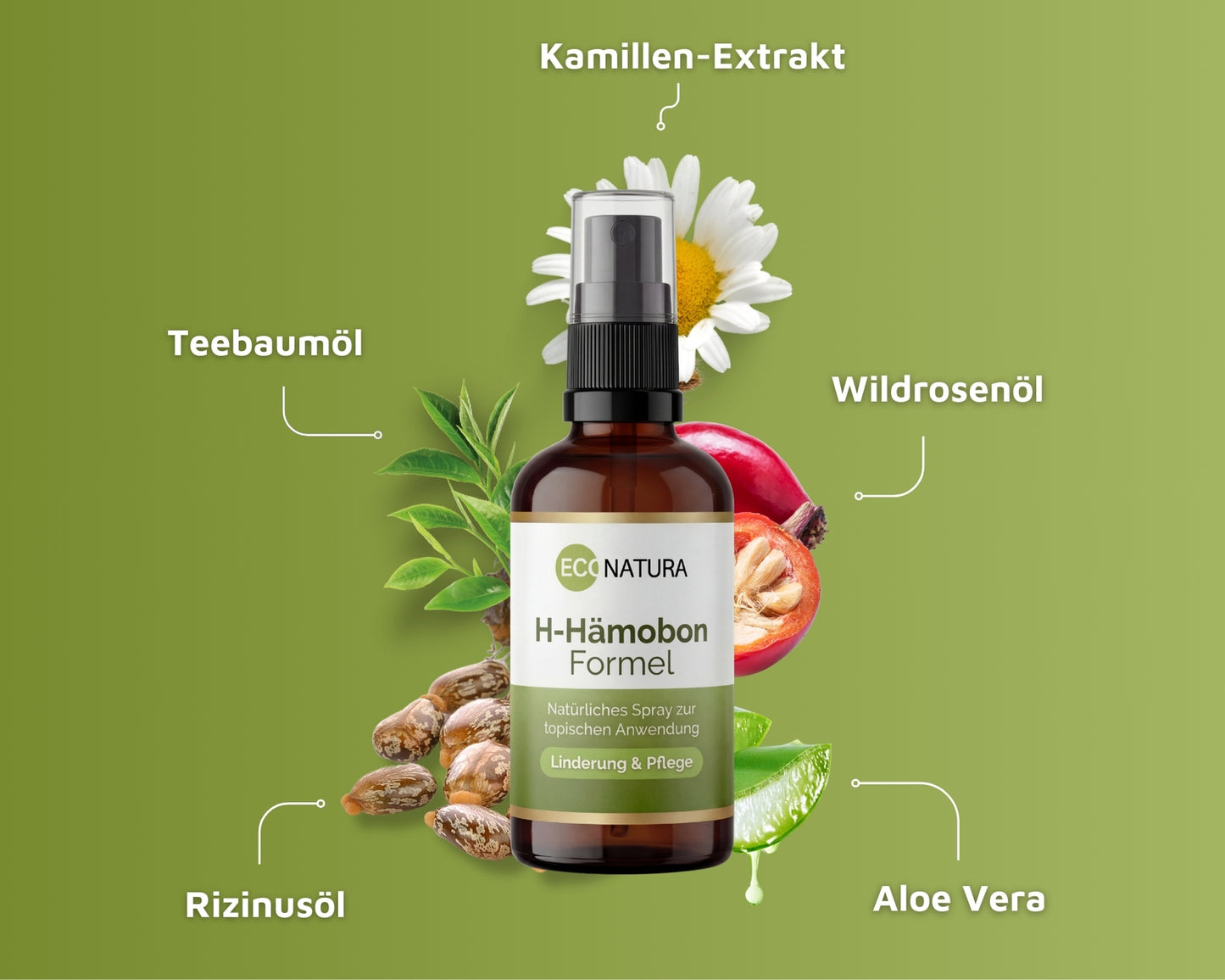 H-Hämobon-Formel® - Spray zur Linderung des Hämorrhoidalleidens