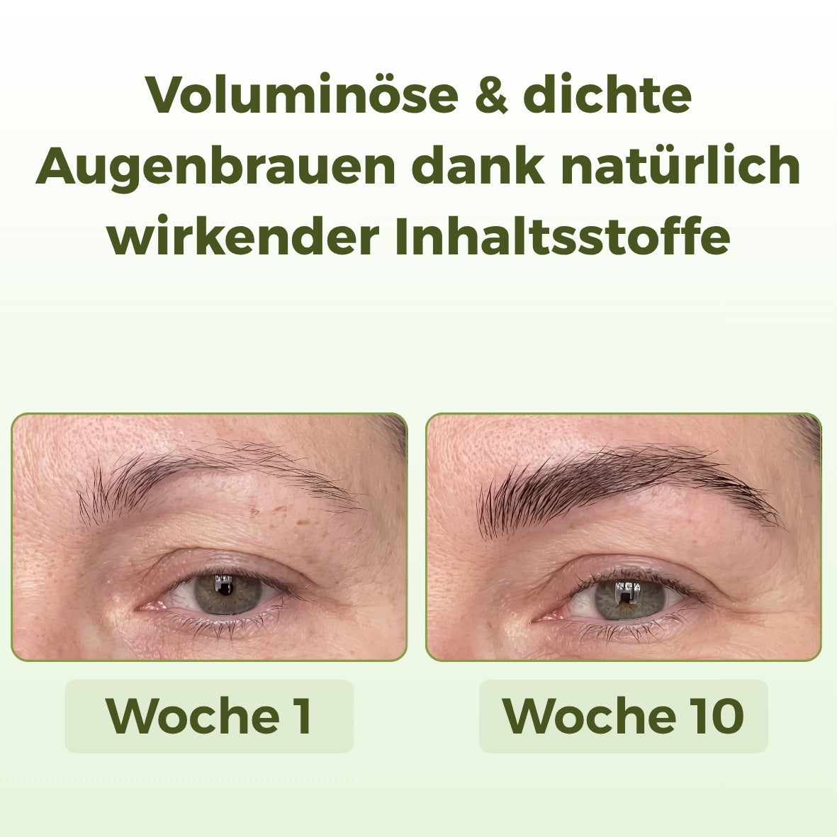 Foliko® Peptid-Komplex - Auf Basis von Rosmarinextrakt
