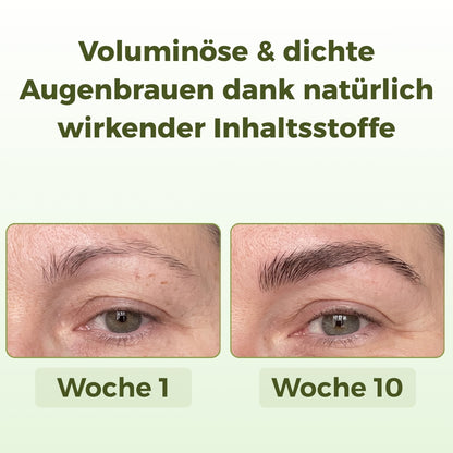 Foliko® Peptid-Komplex - Auf Basis von Rosmarinextrakt