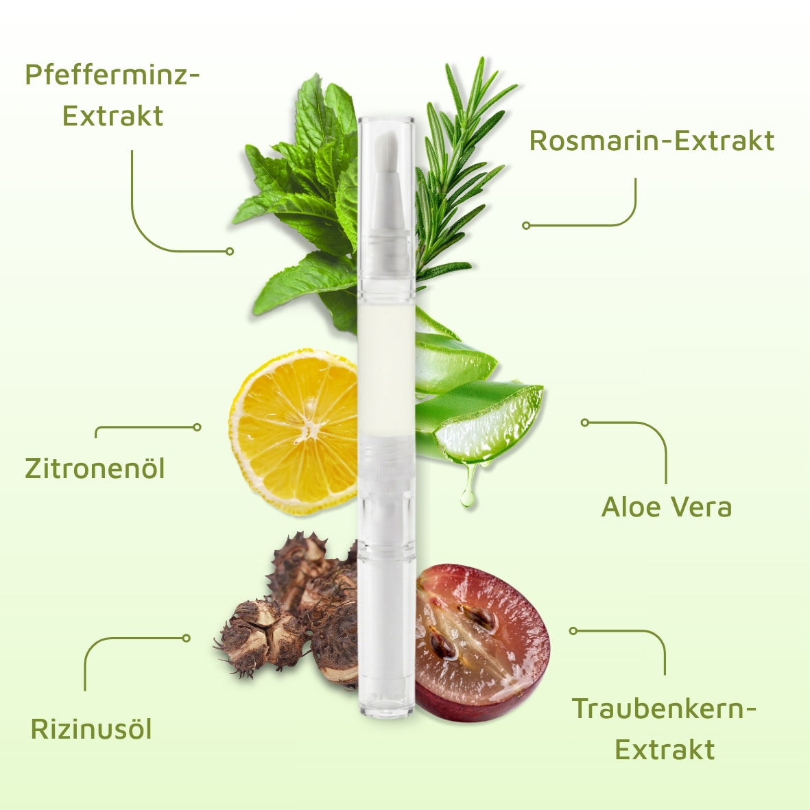 Foliko® Peptid-Komplex - Auf Basis von Rosmarinextrakt